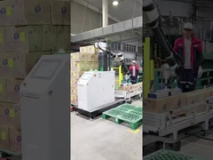 Fornitore di soluzioni per robot industriali cinesi di palletizzazione collaborativa