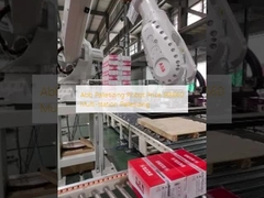Prezzo del robot di pallettizzazione Abb IRB660 per pallettizzazione multi-stazione