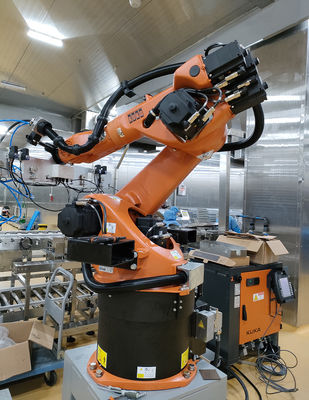 Cellula del robot industriale con protezione IP65 per prestazioni fluide e costanti