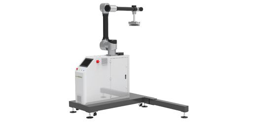 Robot di palletizzazione robotica WP-20 Robot industriale cinese con fornitore di soluzioni da 30 kg