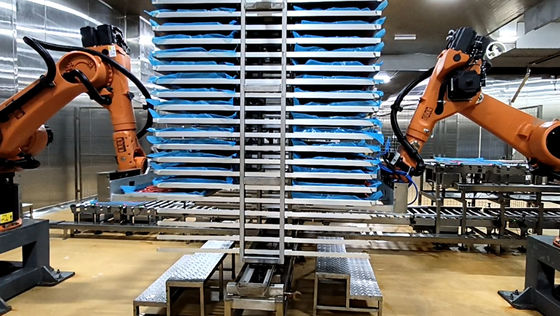 Robot Palletizzatori Tecnologia Alimentare KUKA KR60-3 Cella Robotizzata Industriale