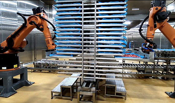 La stazione di lavoro per la palletizzazione industriale di robot fornisce una soluzione unica